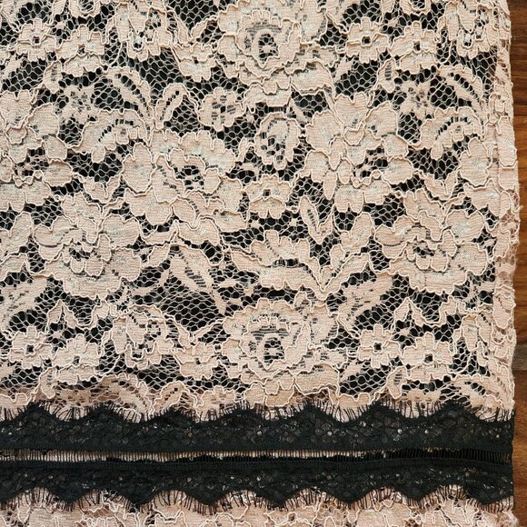 Gorgeous Lace Dressy Dress Pale Pink Black Jax Black Label Size 8 Beautiful Sexy - Picture 8 of 11